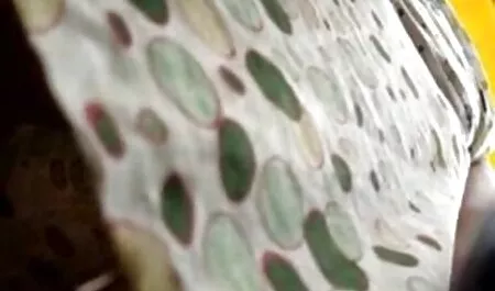 Sexy skinny étudiant se masturbe la chatte rasée sur le bureau video porno femme