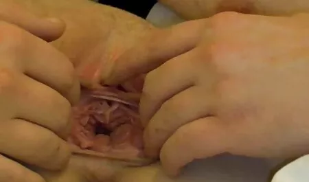 Cute babe porno black maman travaille avec deux Lèvres sur ses Lèvres.