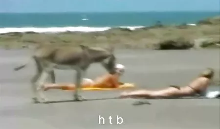 Jeune fashionista vient sur une bite élastique. porno cheval avec fille
