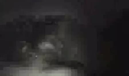 Le gars a donné porno fille grosse fesse des fleurs à son ami,et elle a sucé un bouquet.