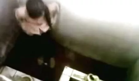 Petit chaton d'un femmes grosses porno bol de lait et baise avec une belle tête chauve